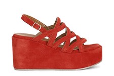 Cafè Noir C1HM6061 SANDALO