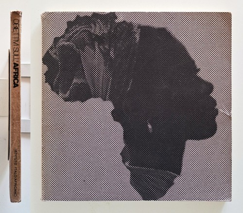 Obiettivi sull africa - obiettivi, sull’africa