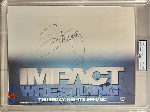 Poster promozionale sting tna - poster,