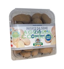 PATATE DA SEME KELLI BIANCA 50