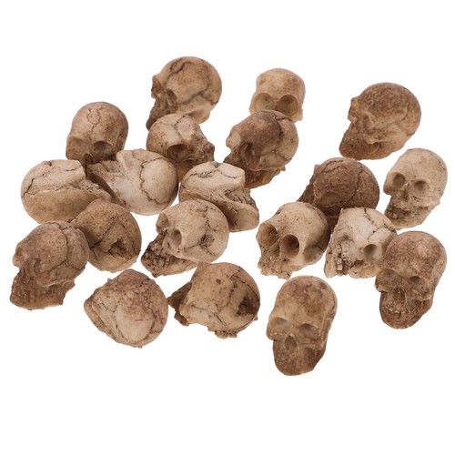 Pezzi teschi ornamenti - 20,