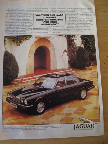 Jaguar pursuit perfection - of,