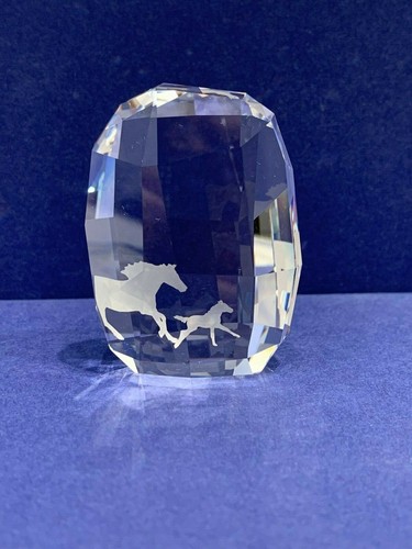 Swarovski 2014 scs fermacarte - swarovski,
