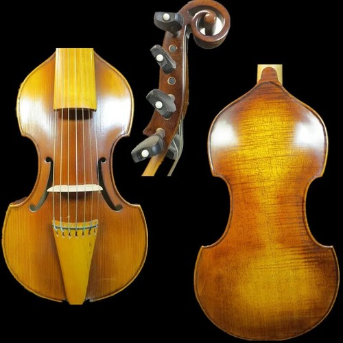 Nice gamba song brand - song,