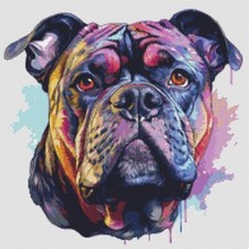 American Bully Puppy Dog opera