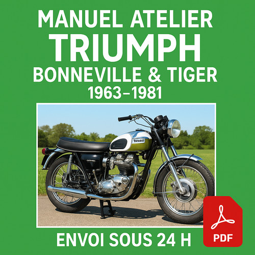 Manuel atelier triumph - manuel,