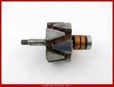 Rotore indotto alternatore - rotore,