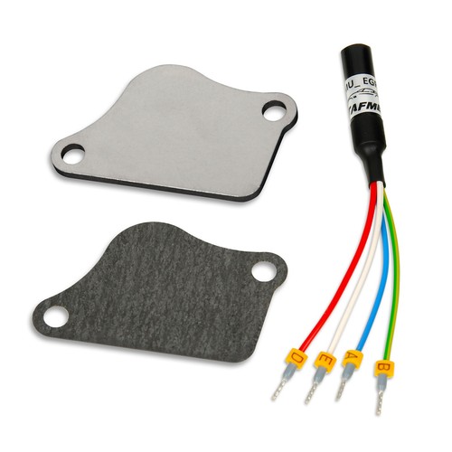 Kit riparazione valvola - valvola, egr