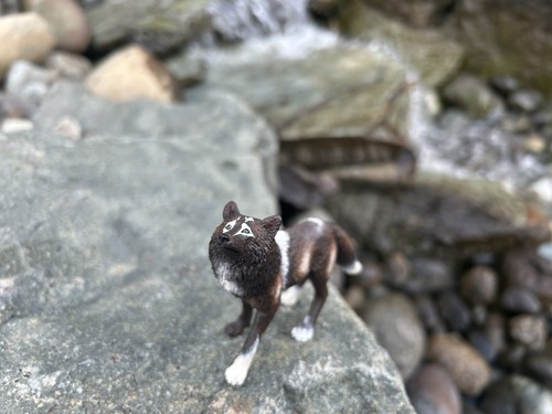 Black phase wolf - wolf, headswap