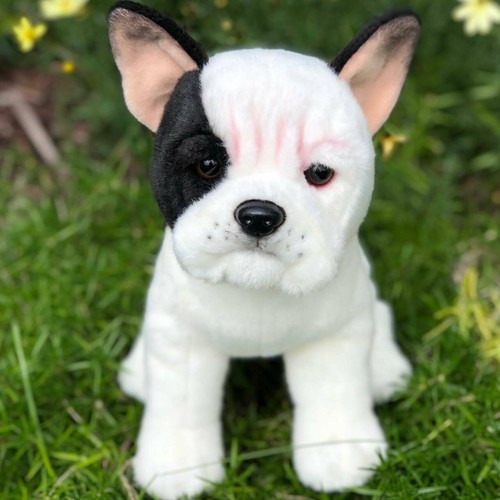 Auswella peluche izzy - auswella,
