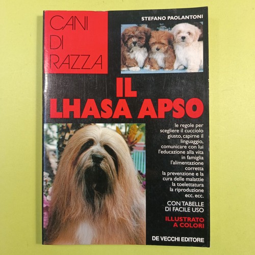 Lhasa apso paolantoni de - apso,