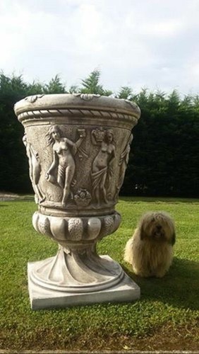 Vaso calice imperiale - imperiale, da
