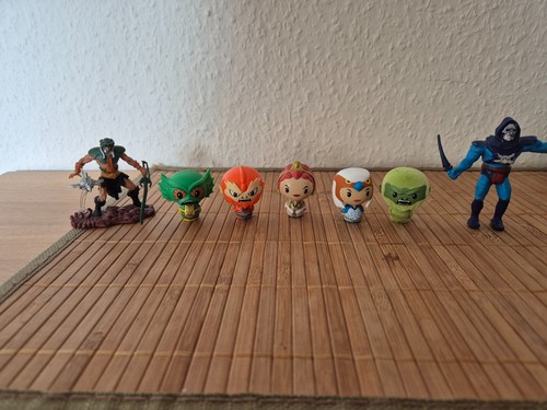 Masters the universe pint - the,