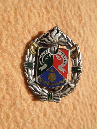 Distintivo legione straniera - distintivo,