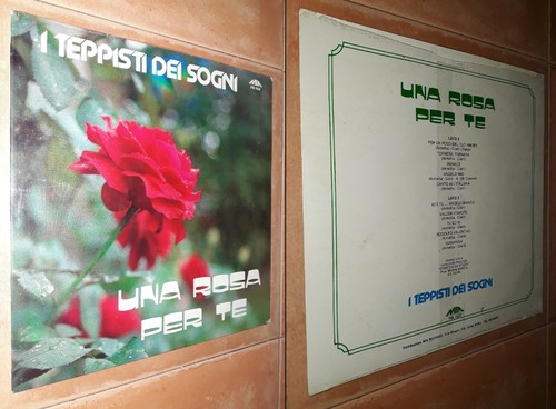 Teppisti dei sogni una - teppisti, rosa