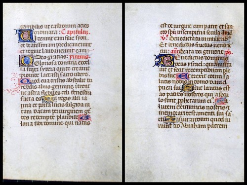 Grafia pergamena foglia - foglia, di