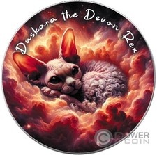 DUSKARA THE DEVON REX Nebulosa Gatti 1 oz Moneta Argento 1$ USA 2025