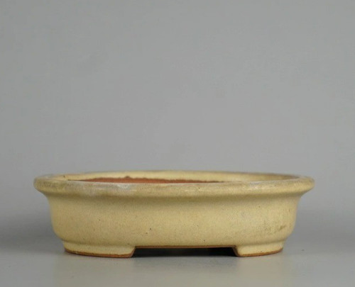 Vaso per bonsai giapponese