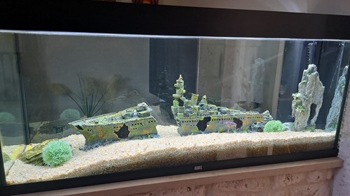 Acquario juwel litri 250 con - acquario, juwel,