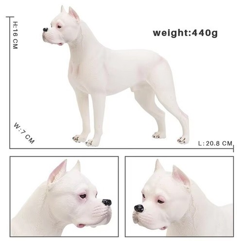 Dogo argentino cane animale - dogo,