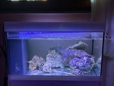 Acquario Marino Completo