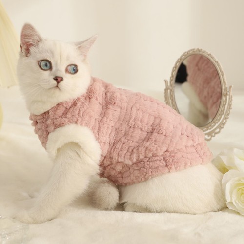 Carino cappotto pelo - , cane