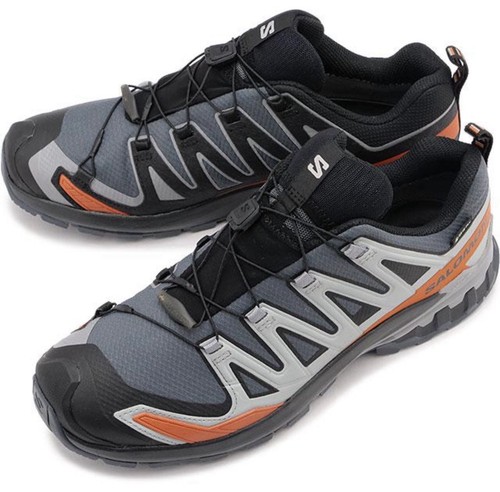 Salomon pro v9 gtx - pro, 3d