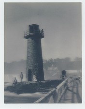 1800's Tartaruga D'Acqua Dolce