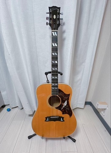 Chitarra acustica gibson dove - chitarra,