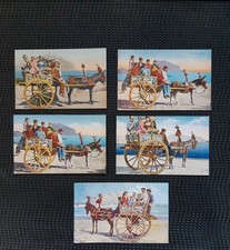Sicilia Lotto 5 cartoline nvg carro siciliano costumi