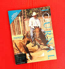 2004 quarter horse - quarter,