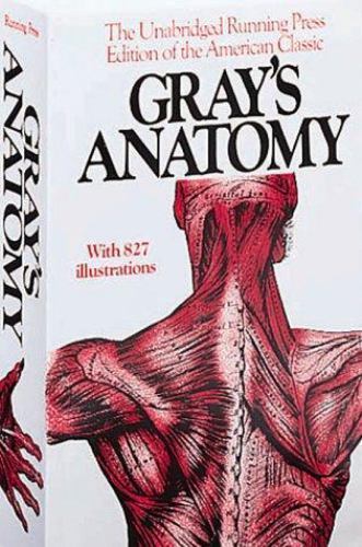 Anatomy descriptive and - descriptive,