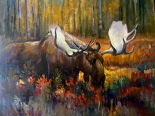 TORO D'OCA foresta autunnale