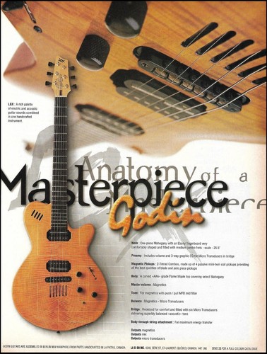 Pubblicità chitarra elettrica