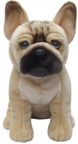 Orsacchiotto bulldog francese - bulldog,
