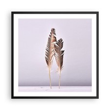 Poster 60x60cm Due piume lilla
