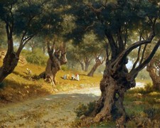 Quadro paesaggio uliveto