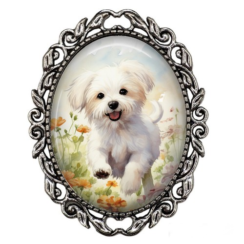 Cucciolo maltese cane fiore - in,