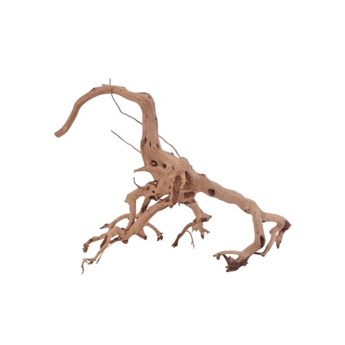 Radice acquario decorazione - radice,