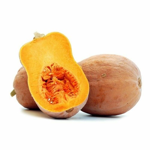 Semi zucca butternut - semi,