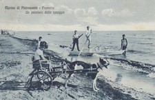 Lucca  -  Marina di Pietrasanta  -  Fiumetto  -  Un pensiero dalla Spiaggia