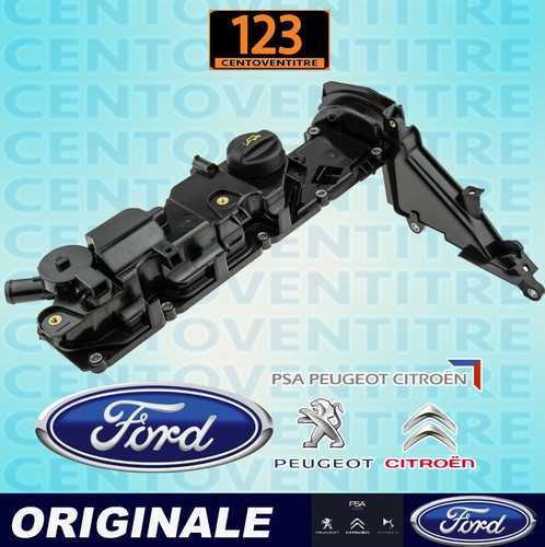 Coperchio testata motore - coperchio,