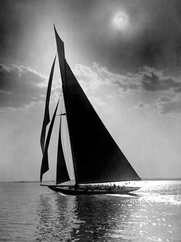 Quadro barca vela coppa - a,