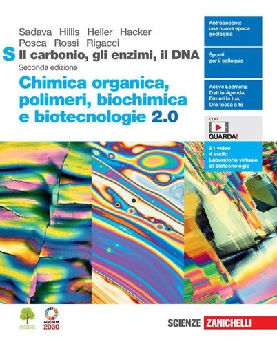 Carbonio gli enzimi il - il, enzimi,