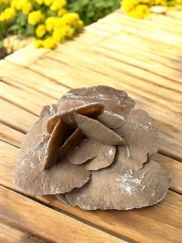 Pietra grezza rosa - del, deserto