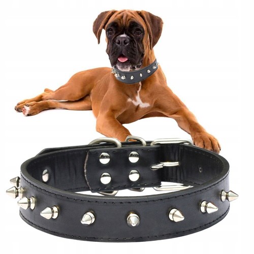 Collare per cane gatto - cane, con