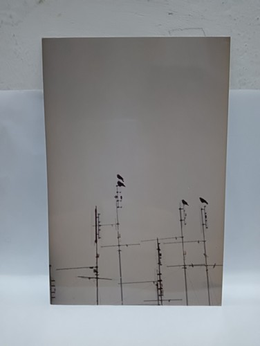 Paesaggio urbano con antenne