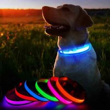 COLLARE CANE LED NOTTURNO LUMINOSO TAGLIA L VARI COLORI REGOLABILE RESISTENTE