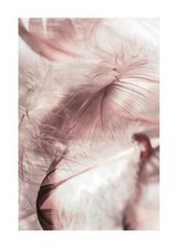 Poster Amour Poster per arredo