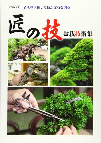 Collezione tecniche bonsai - collezione,